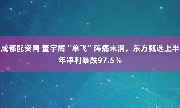 成都配资网 董宇辉“单飞”阵痛未消，东方甄选上半年净利暴跌97.5％