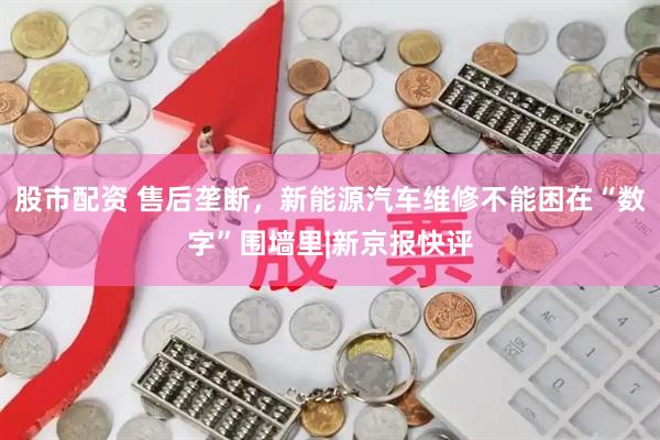 股市配资 售后垄断，新能源汽车维修不能困在“数字”围墙里|新京报快评